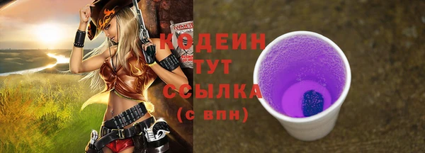 дмт Богородицк