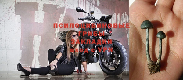 соль курить ск Бородино