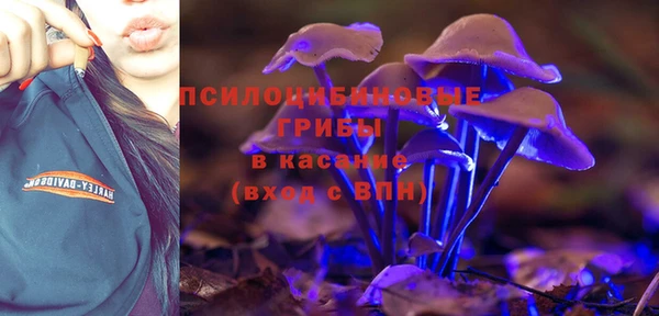 прущие крисы Бронницы